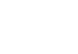 SES Engineering